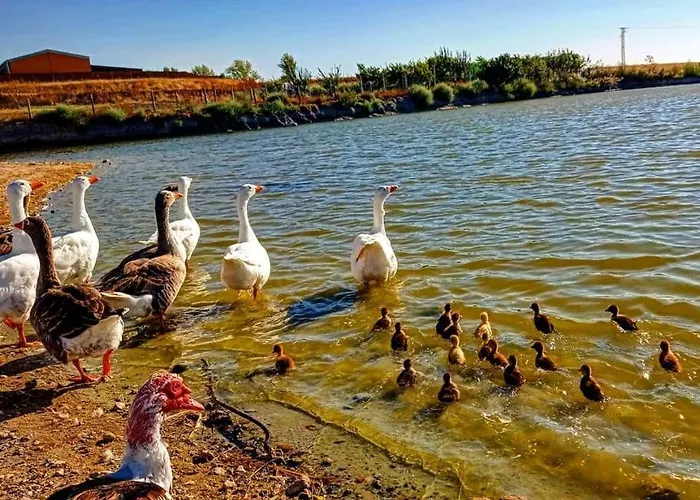 Casa Siete Lagos Sinlabajos
